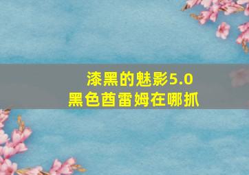 漆黑的魅影5.0黑色酋雷姆在哪抓