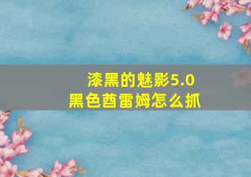 漆黑的魅影5.0黑色酋雷姆怎么抓