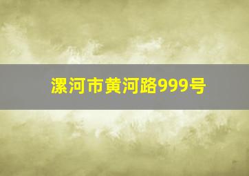 漯河市黄河路999号