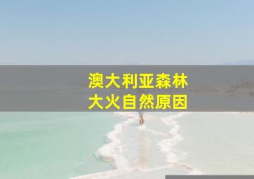 澳大利亚森林大火自然原因