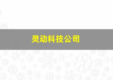 灵动科技公司