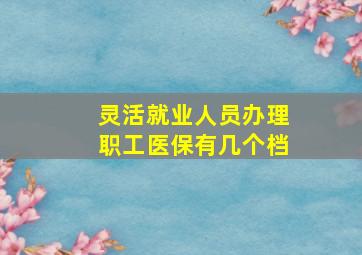 灵活就业人员办理职工医保有几个档