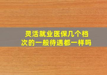 灵活就业医保几个档次的一般待遇都一样吗