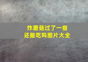 炸蘑菇过了一宿还能吃吗图片大全