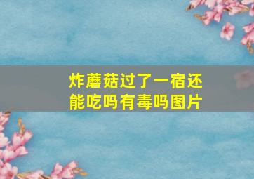 炸蘑菇过了一宿还能吃吗有毒吗图片