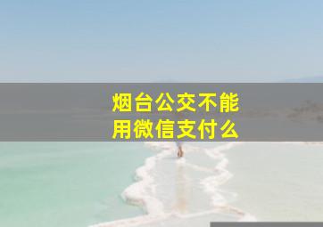 烟台公交不能用微信支付么