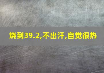 烧到39.2,不出汗,自觉很热