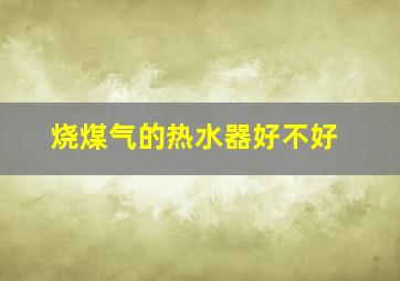 烧煤气的热水器好不好