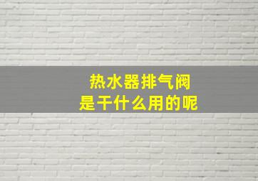 热水器排气阀是干什么用的呢