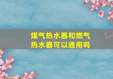 煤气热水器和燃气热水器可以通用吗