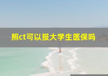 照ct可以报大学生医保吗