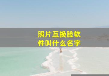 照片互换脸软件叫什么名字