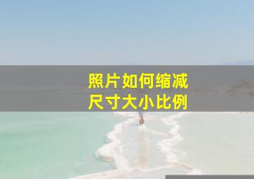 照片如何缩减尺寸大小比例