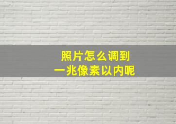 照片怎么调到一兆像素以内呢