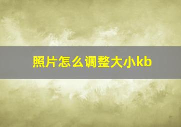 照片怎么调整大小kb