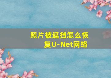 照片被遮挡怎么恢复U-Net网络