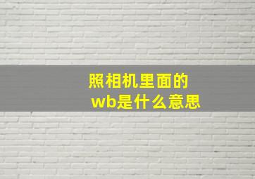 照相机里面的wb是什么意思