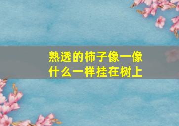 熟透的柿子像一像什么一样挂在树上