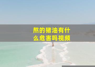 熬的猪油有什么危害吗视频