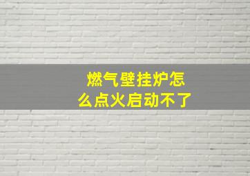 燃气壁挂炉怎么点火启动不了