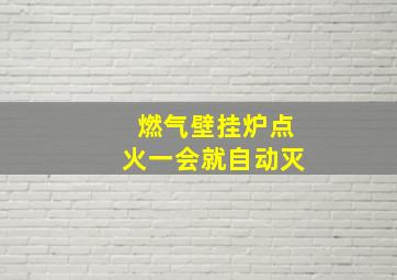 燃气壁挂炉点火一会就自动灭