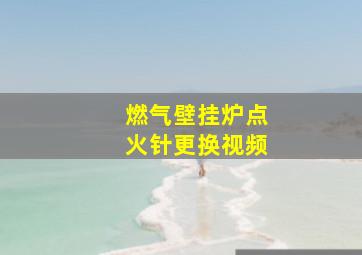 燃气壁挂炉点火针更换视频