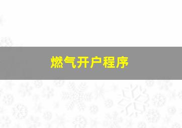 燃气开户程序