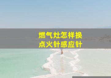 燃气灶怎样换点火针感应针