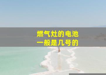 燃气灶的电池一般是几号的