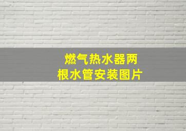 燃气热水器两根水管安装图片