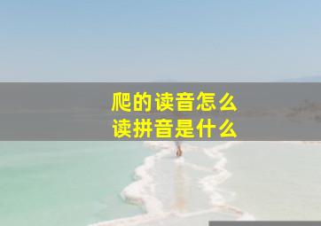 爬的读音怎么读拼音是什么