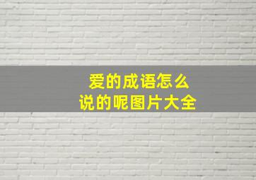 爱的成语怎么说的呢图片大全