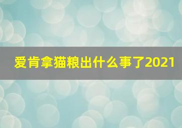 爱肯拿猫粮出什么事了2021