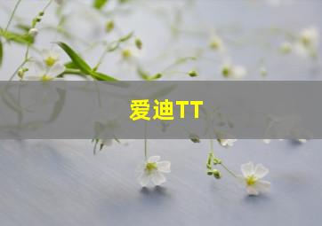 爱迪TT