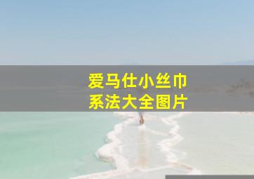 爱马仕小丝巾系法大全图片