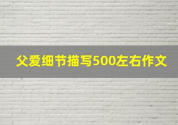 父爱细节描写500左右作文