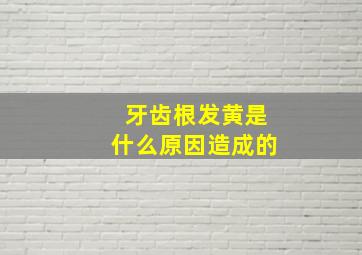 牙齿根发黄是什么原因造成的