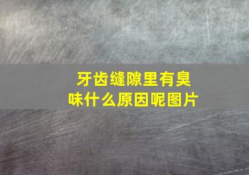 牙齿缝隙里有臭味什么原因呢图片