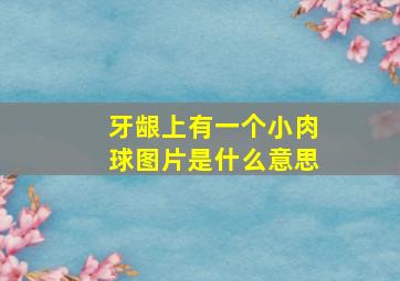 牙龈上有一个小肉球图片是什么意思