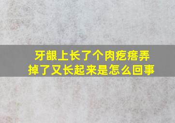 牙龈上长了个肉疙瘩弄掉了又长起来是怎么回事