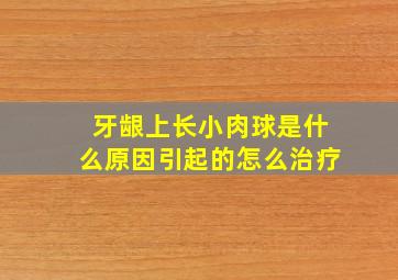 牙龈上长小肉球是什么原因引起的怎么治疗