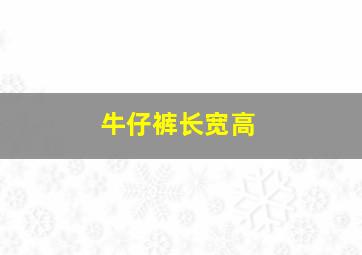 牛仔裤长宽高