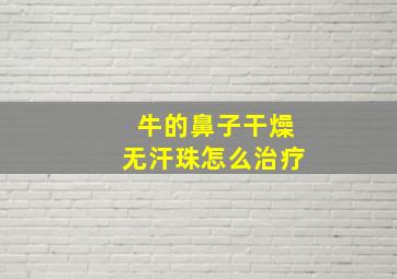 牛的鼻子干燥无汗珠怎么治疗