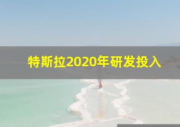 特斯拉2020年研发投入