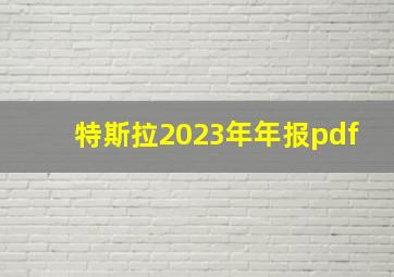 特斯拉2023年年报pdf