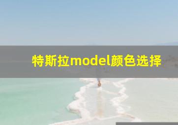 特斯拉model颜色选择