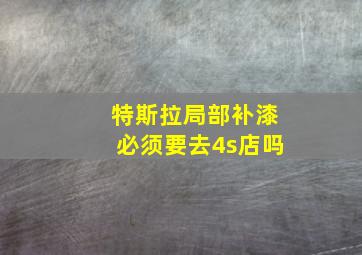 特斯拉局部补漆必须要去4s店吗