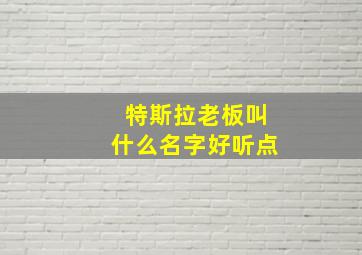 特斯拉老板叫什么名字好听点