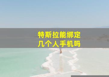 特斯拉能绑定几个人手机吗