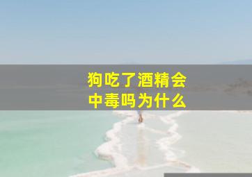 狗吃了酒精会中毒吗为什么